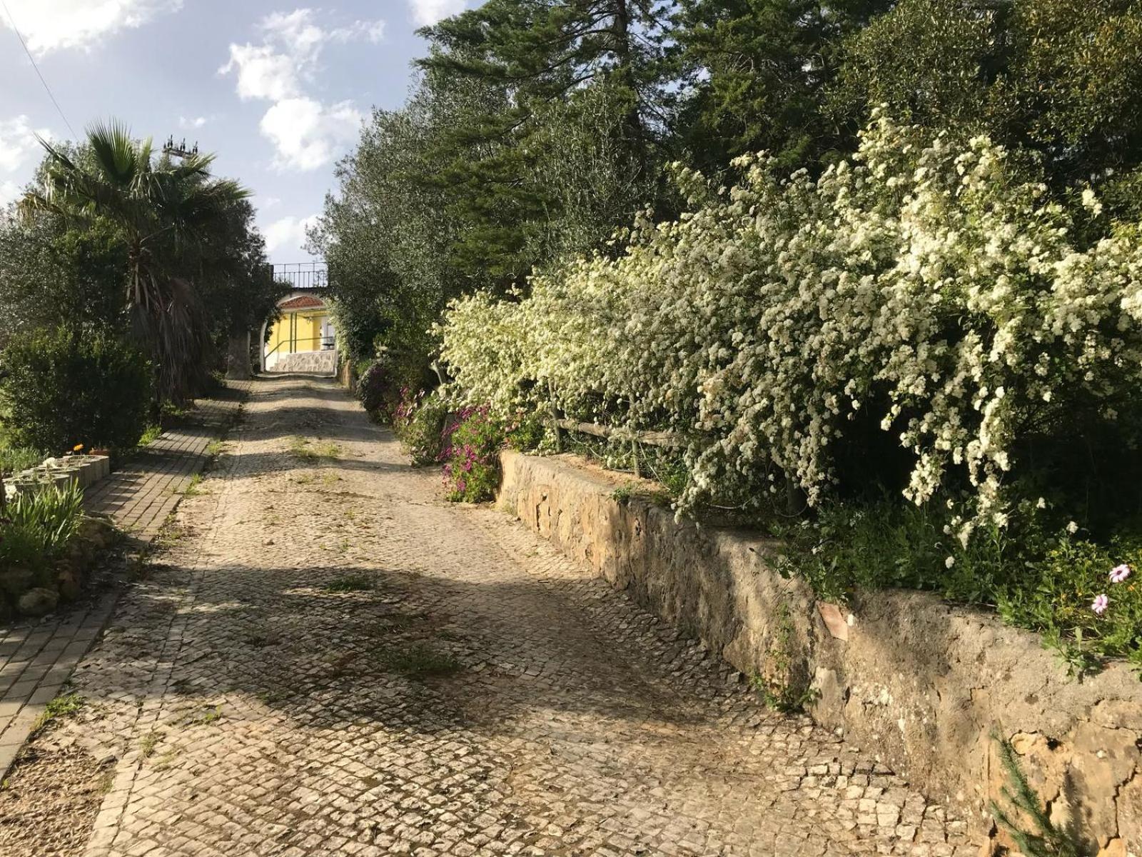 Quinta Dos Canais Setubal Exterior photo